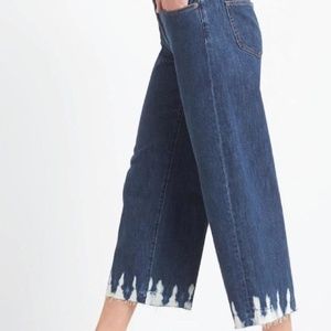 Gap 1969 High Rise Shiburi Wide Leg Trouser Jeans